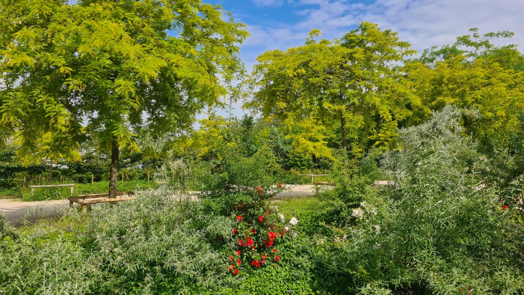 Le printemps dans le parc.